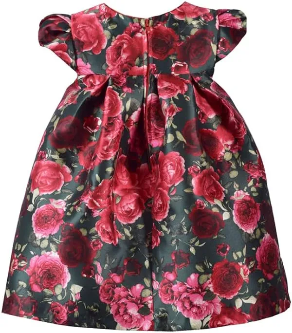 Bonnie Jean Baby Girl's Special Occasion Party Dress - for Baby, Toddler and Little Girls