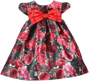 Bonnie Jean Baby Girl's Special Occasion Party Dress - for Baby, Toddler and Little Girls