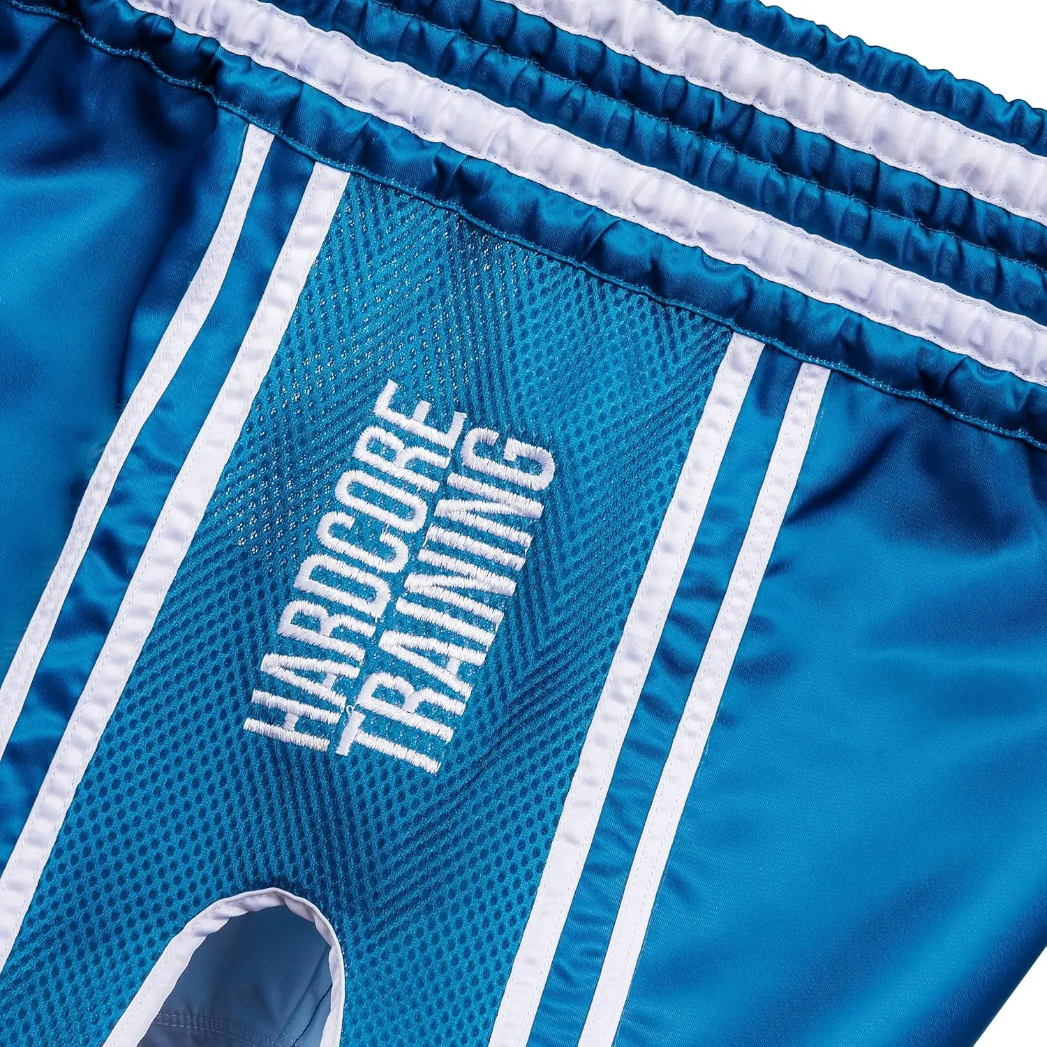 Hardcore Training Muay Thai Shorts Multiply Colours Kick Boxing MMA Combat Sport Sparring Trunks Cage Fight