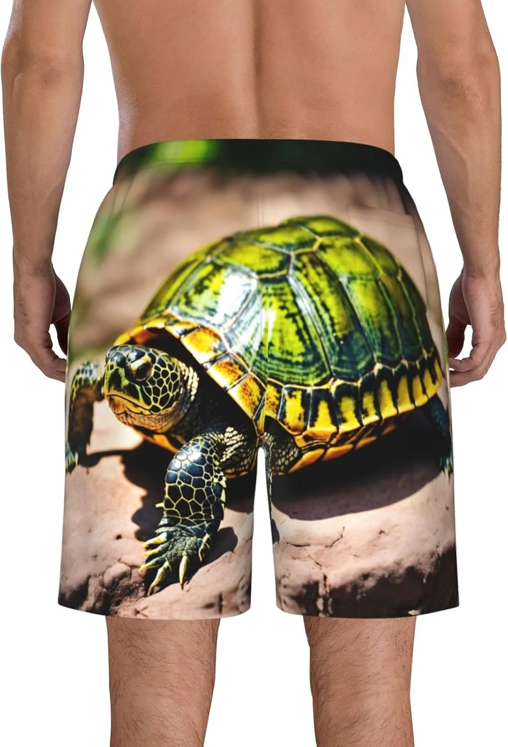 Lord Howe Island Sea Turtle Print Men's Swim Trunks with Liner,Beach Shorts for Summer,Suitable for Water Activities