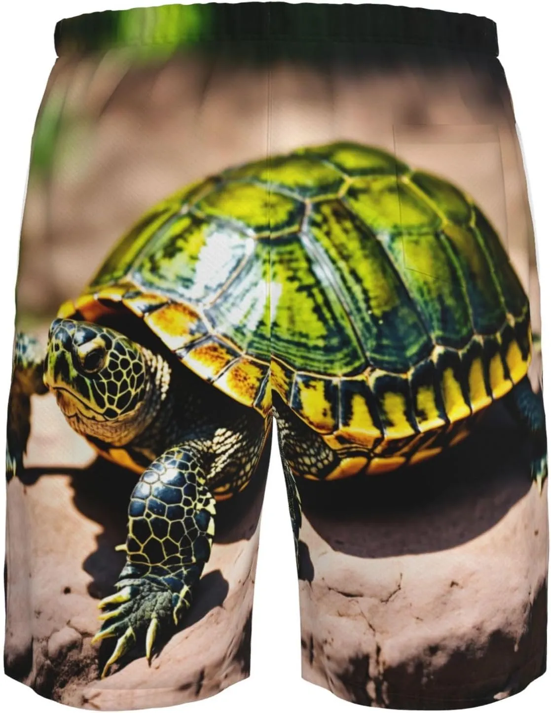 Lord Howe Island Sea Turtle Print Men's Swim Trunks with Liner,Beach Shorts for Summer,Suitable for Water Activities