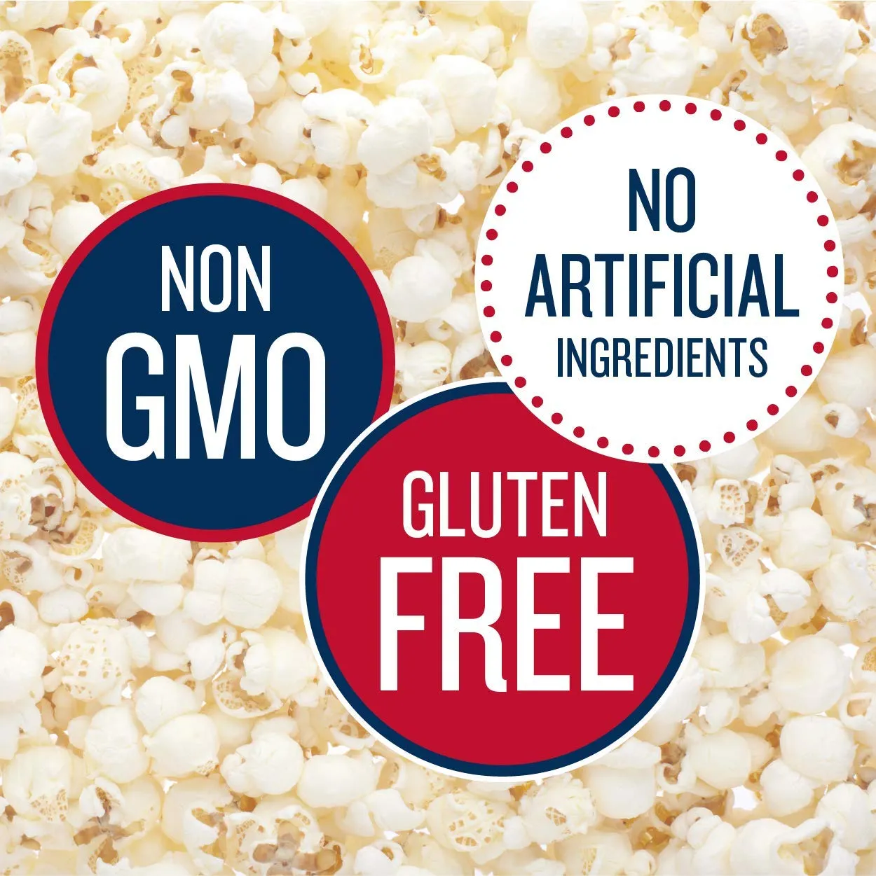 SkinnyPop Popcorn, Gluten Free, Non-GMO, Healthy Snacks, Skinny Pop Dairy Free White Cheddar Popcorn Snack Packs, 0.65 Oz Individual Size Snack Bags (6 Count)